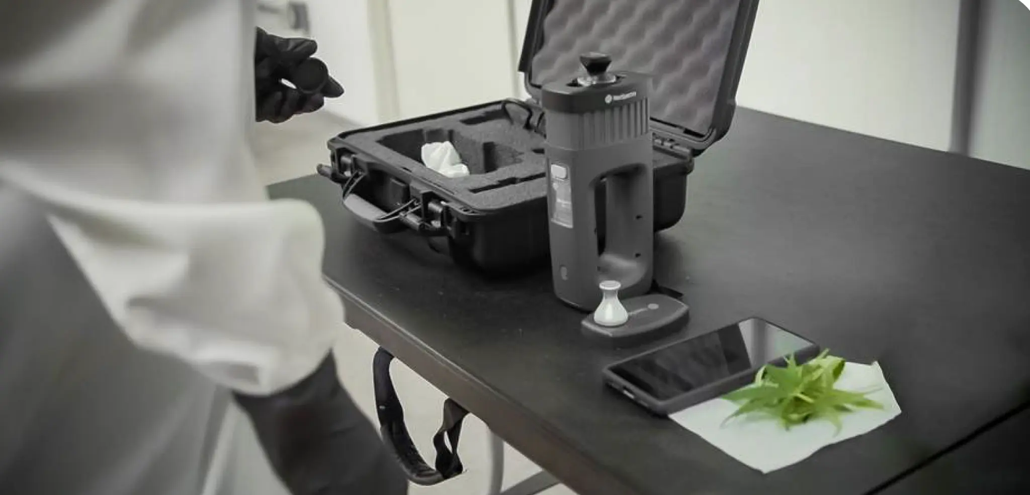Cannabis Testing Process