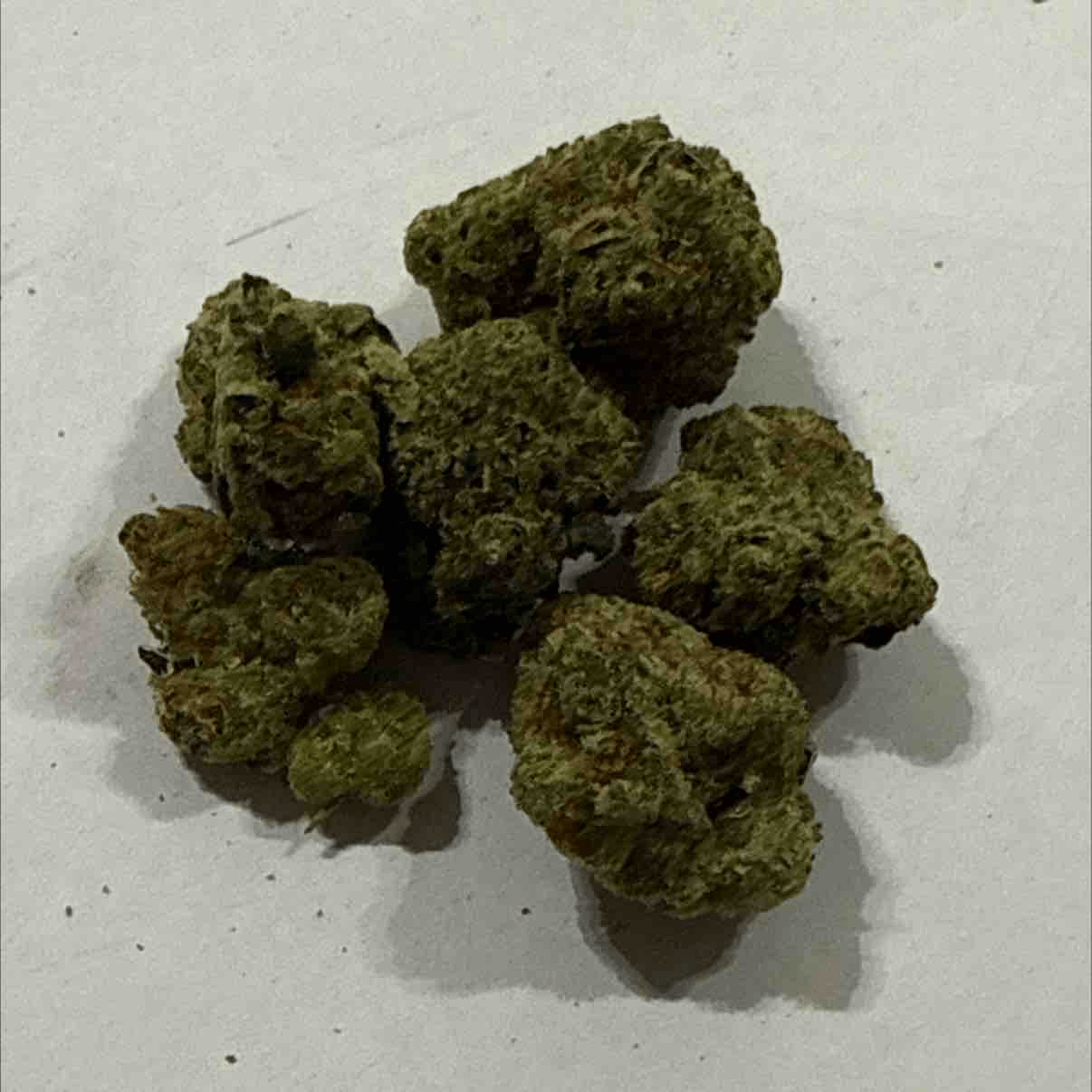 Haze Monkey